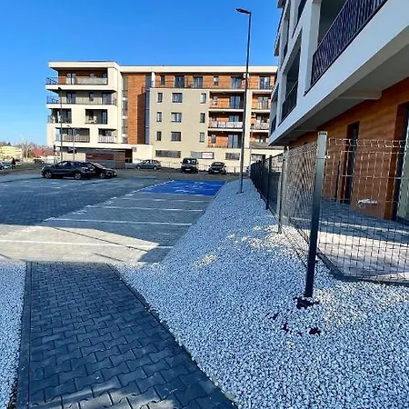 Pastel 47 By Housine Zator